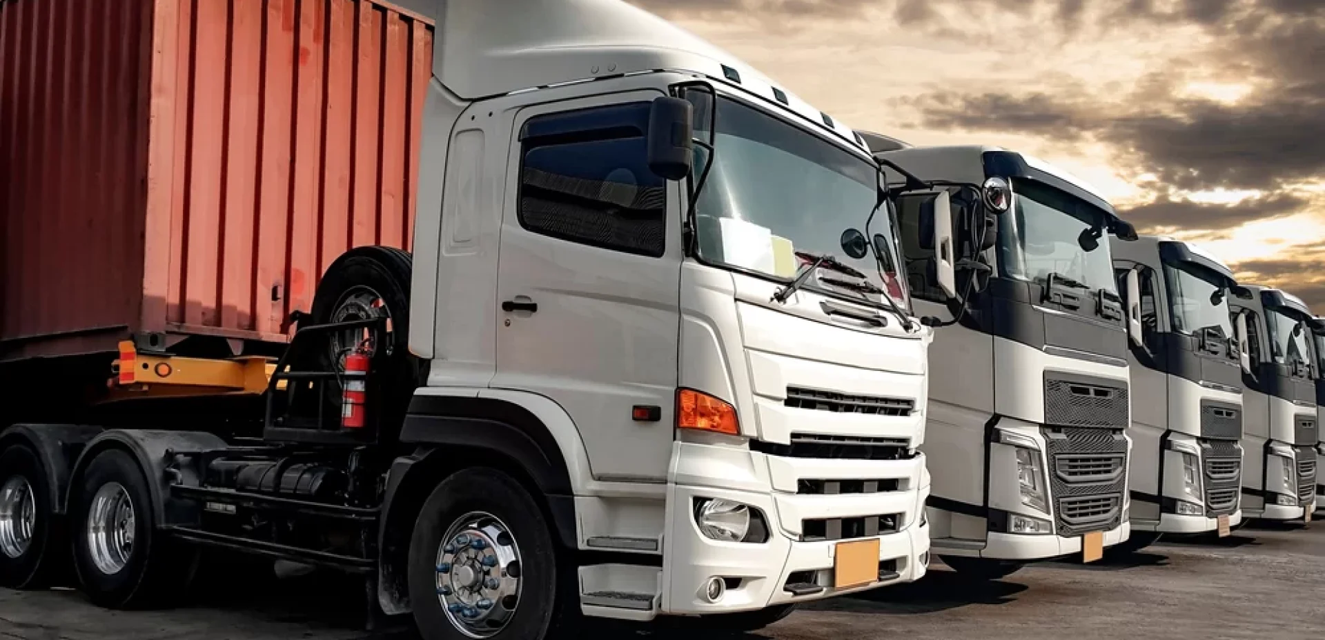 packers_new (5) packers_new (5)